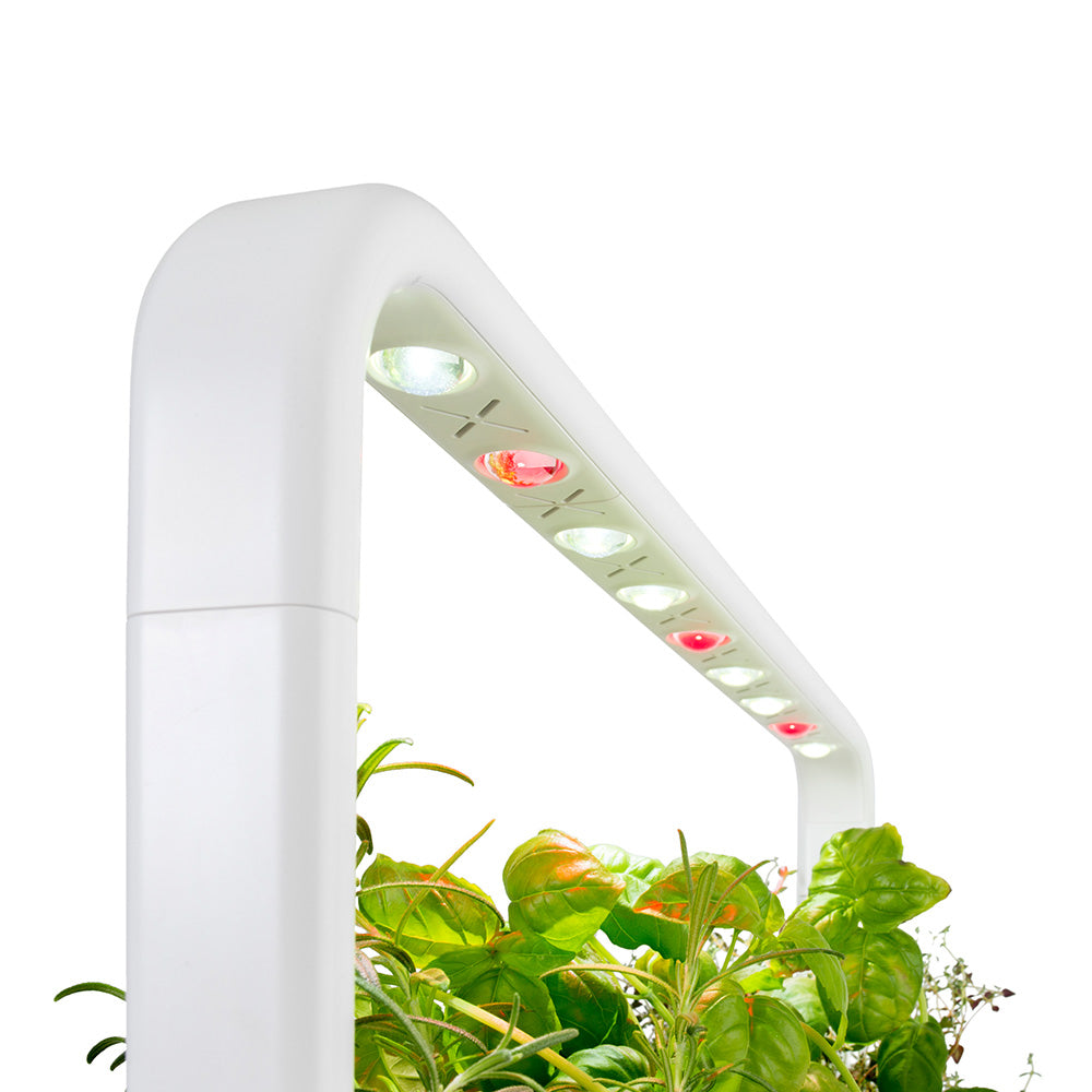 Click & Grow Smart Garden 9 Indoor Kräutergarten Lampen