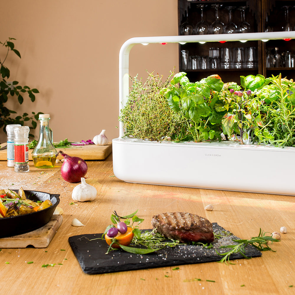 Click & Grow Smart Garden 9 Indoor Kräutergarten Szene Küche Essen