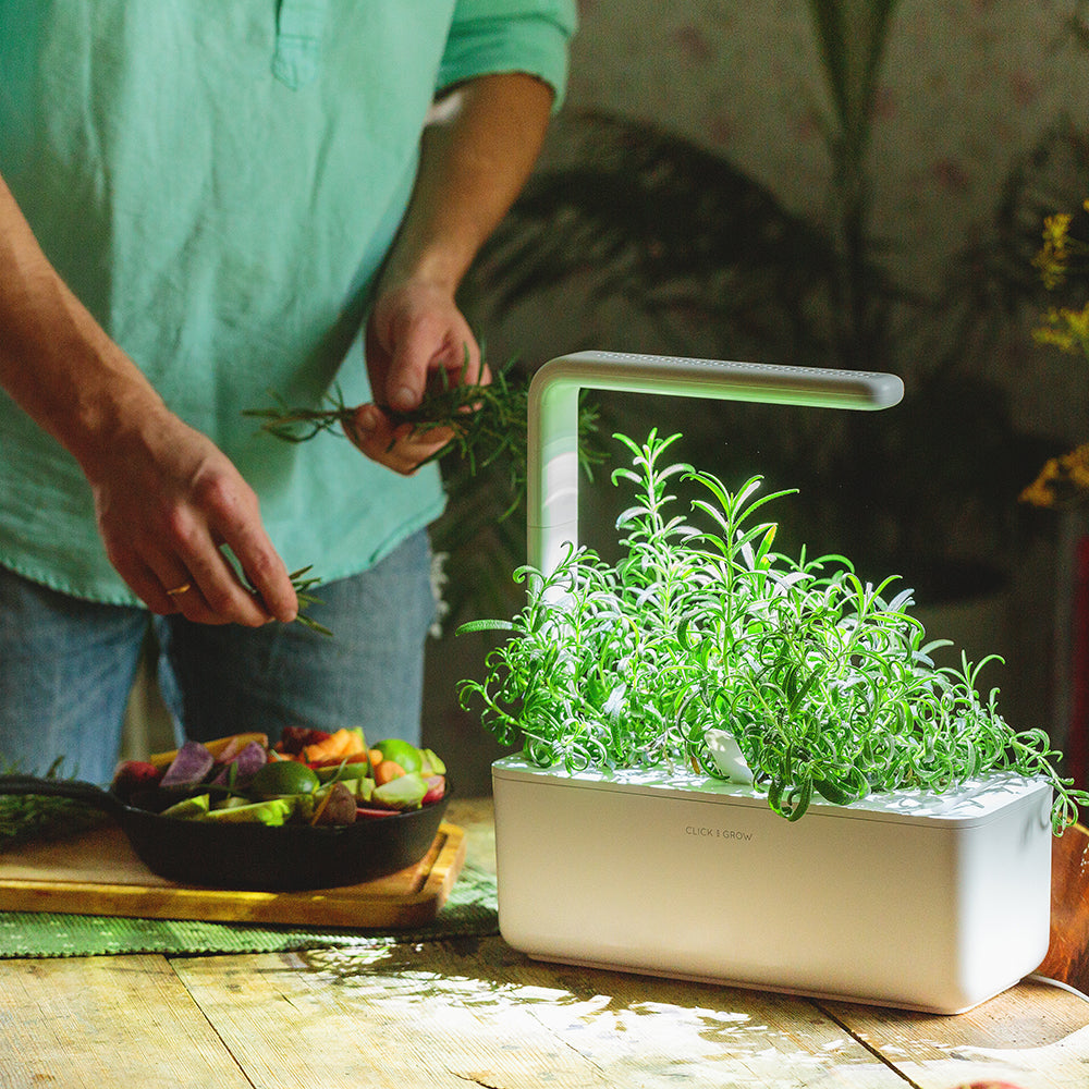 Click & grow Smart Garden 3 Indoor Kräutergarten Szene Mann kocht